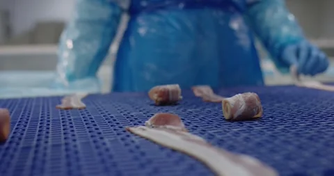 Gloved hands rolling bacon strips into small rolls on a dark blue conveyor belt Vídeo Stock 339983222