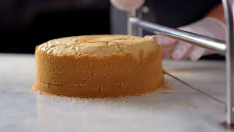 Gloved hands skillfully use a cake leveler to slice a tall, baked cake into.. Vídeo Stock 296108421