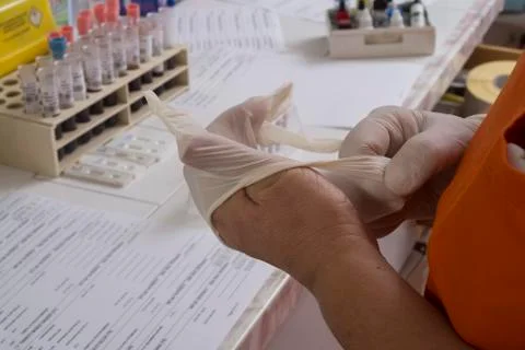 Gloved hands in a test lab Stock Photos