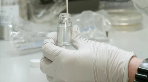 Gloved hands testing bacteria on petri spinner Stock Footage 49081496