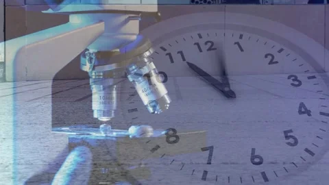 Gloved lab tech reaching slide, adjusting scope while inspecting sample, clock Stock Footage 334693865