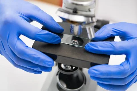 Gloved scientist carefully aligning microscope slide with scientific specimen Stock-Fotos