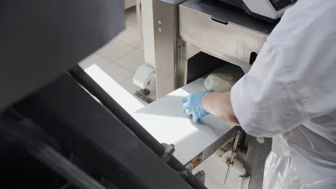Gloved Worker Operating Food Conveyor Stock Footage 321403983