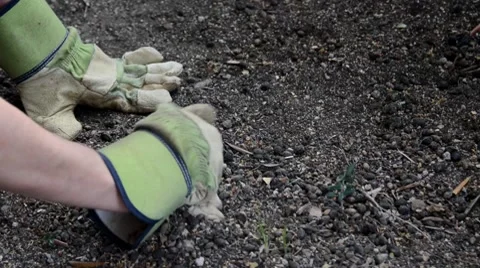 Gloves Stock Footage 7133252