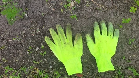 Gloves on the garden bed Stock Footage 112378991