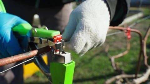 Gloves on hands securing grapevine to netting with garden stapler Stock Footage 310927141