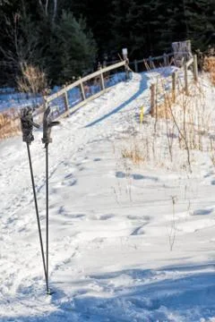 Gloves on ski poles at a winter trail Stock Photos