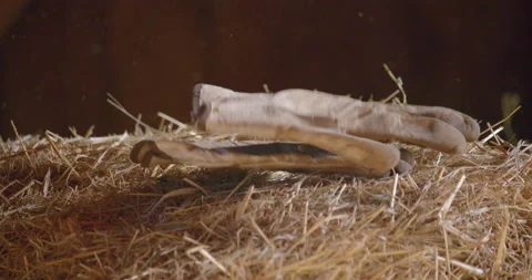 Gloves throwing on a dry hay pile / Slow motion 7 Видео 131064334