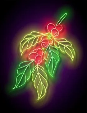 Glow Branch of Coffee Tree Stock Illustration