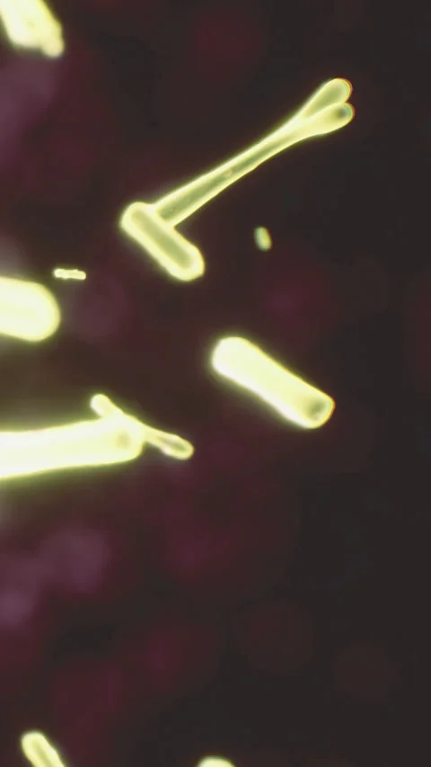 Glow of light particles in dark setting during nighttime event in urban area Stock Footage 333567483