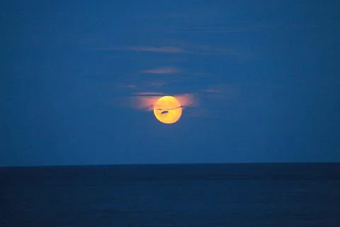 Glow of the Moon. Stock Photos