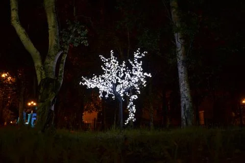 Glow Foto stock