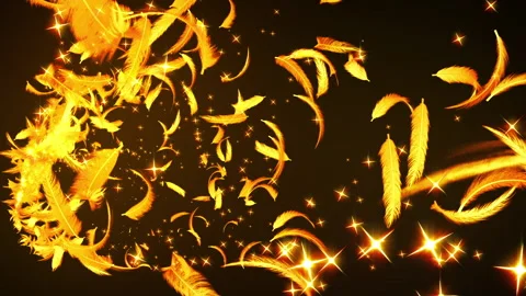 Glow shiny feather particle loop animation Stockbeeldmateriaal 148062488