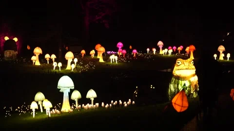 'Glow Wild' winter light trail opens in Sussex Stock Footage 321907016