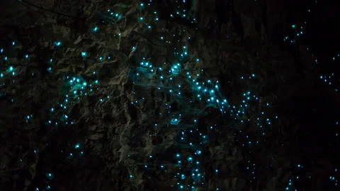 Glow worm galaxy inside a New Zealand cave Stock Footage 144082297