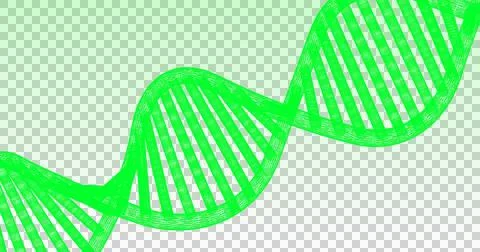 Glowing 3D DNA structure forming against black background Stock Illustration