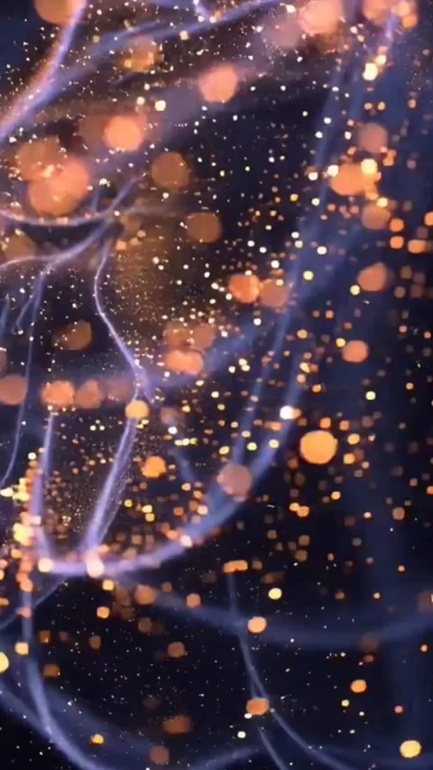 Glowing Abstract Particles  Vertical video Loop Animation Background Video stock 322001038