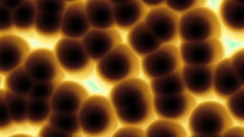 Glowing backlit cells or microorganisms abstract background seamless loop. Stock Footage 344482229
