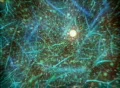 Glowing balls flying through organic world 2 Footage