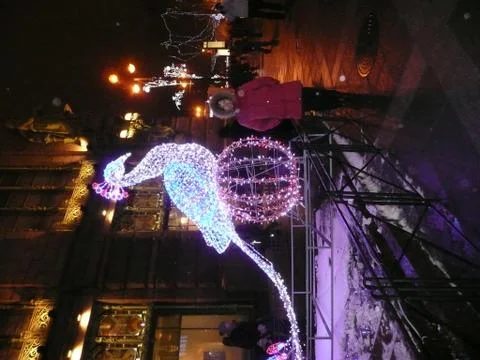 Glowing bird 写真素材