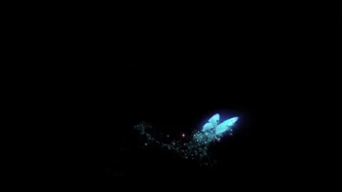 Glowing Blue Butterfly Flying with Magic Particle Trail Stock Footage 336713548