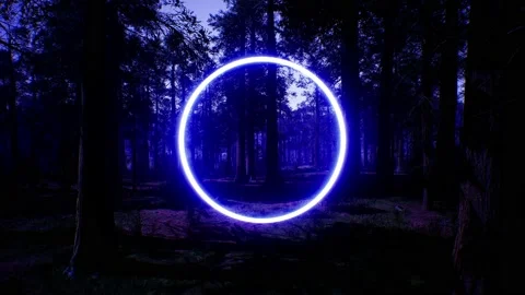 Glowing Blue Circle Light in Night Forest Background Stock Footage 159876769