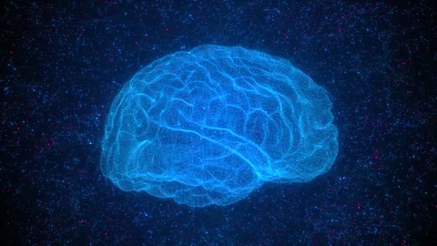 Glowing Blue Digital Brain Wireframe Neural Network Animation Background Stock Footage 344245185