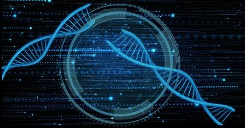 Glowing blue DNA helix intersecting translucent HUD in virtual lab interface, Stock Photos