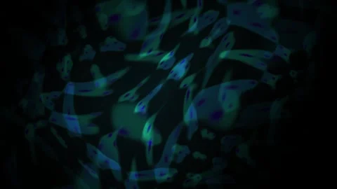 Glowing blue green cells in microscope. 库存影片 335354198