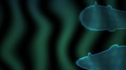 Glowing blue microorganism under microscope. Stock Footage 337462178