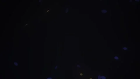 Glowing Blue Particles on Black Background. Stock Footage 334874499