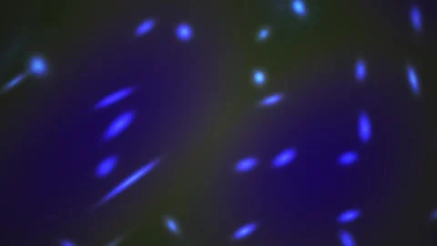 Glowing blue particles on dark background. Stock Footage 336696042