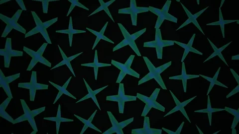 Glowing blue star pattern background. Stock Footage 333925778