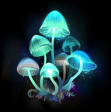 Glowing blue toadstools Stock Illustration