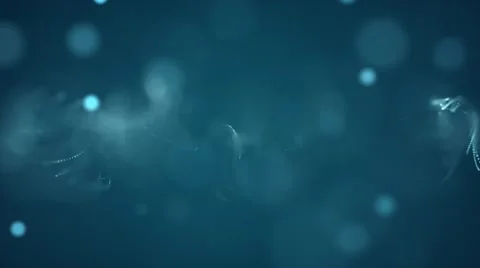 Glowing Blue &amp; White Bokeh Orb Particles Stock Footage 62903321