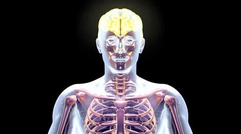 Glowing Brain 스톡 동영상 33004328