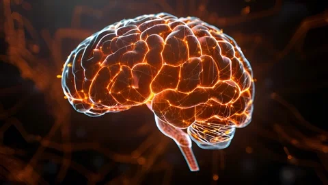 Glowing brain illustration representing neural networks and artificial intellige Stock Footage 319078359