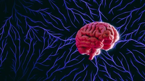 Glowing Brain with Neural Network - Concept of Mind and Connection Stock Footage 332636644
