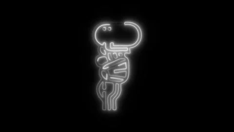 Glowing Brain Stem Icon and Symbol in HD Video Neon Stock Footage 304556724