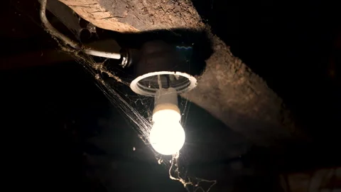 Glowing Bulb Surrounded by Heavy Cobwebs in Old Mediterranean Cellar Stock Footage 345990127