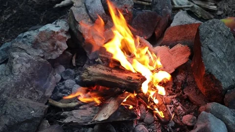 Glowing Campfire Burns Timber Logs with Hot Flames Stock Footage 261017823