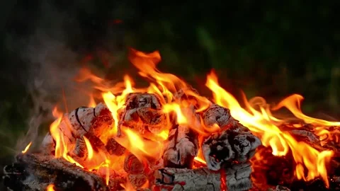 Glowing Campfire Coals and Flames in the Woods Stock-Footage 342120632