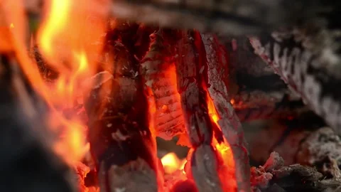 Glowing Campfire Embers and Flames Close-Up Stock Footage 341980415