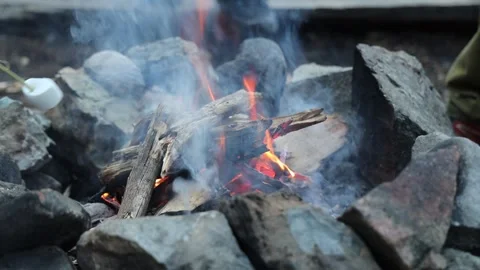 Glowing Campfire Embers in the Darkness Stock Footage 261017831