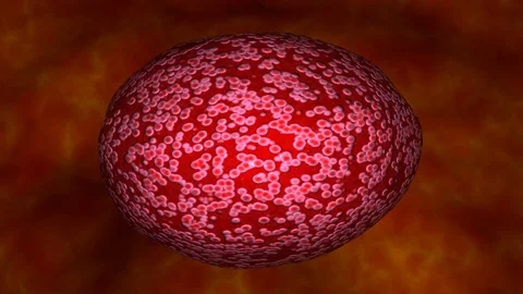 Glowing cell, microbe inside body . 3d animation Stock Footage 94983984