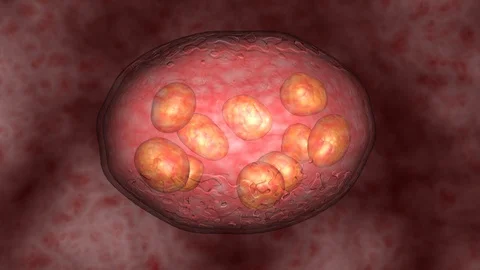 Glowing cells, microbe  . 3d animation Stock-Footage 95025405