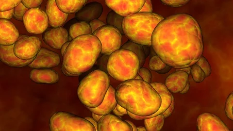 Glowing cells, microbe inside body . 3d animation Stock-Footage 94983941