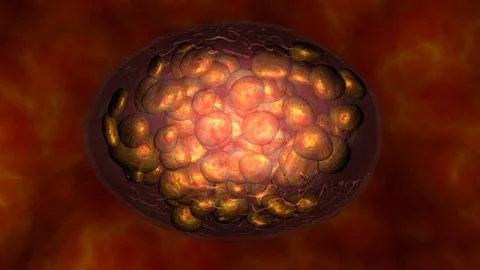 Glowing cells, microbe inside body . 3d animation Stock Footage 94984012