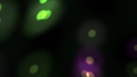 Glowing Cells Under Microscope Closeup. Stock Footage 335354906