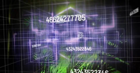 Glowing centered purple 3D wireframe grid moving in virtual studio, with numb Stock Photos